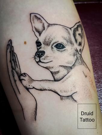 Фотография Druid tattoo 5