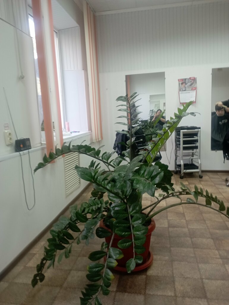 слайд